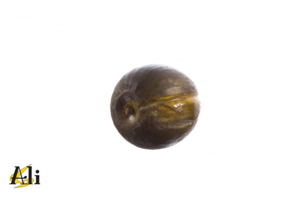 Susina nera