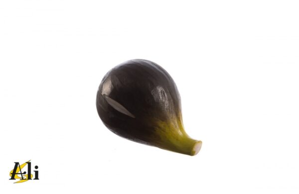 Fico nero