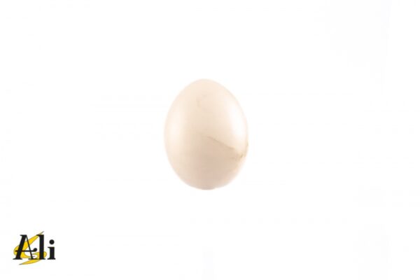 Uovo bianco