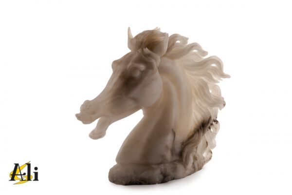 Testa cavallo